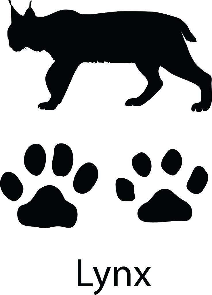Paw print decals for. Pawprint clipart lynx