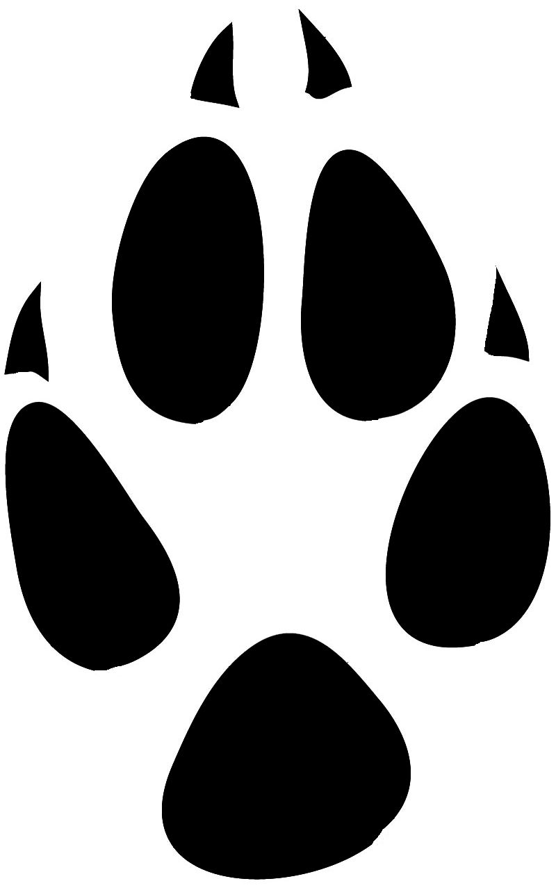 Pawprint clipart pring. Baisteachceilteach deviantart art fox