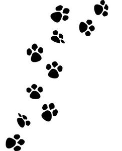 paws clipart banner