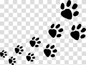 Paws clipart dog tracks. Footprint animal track paw