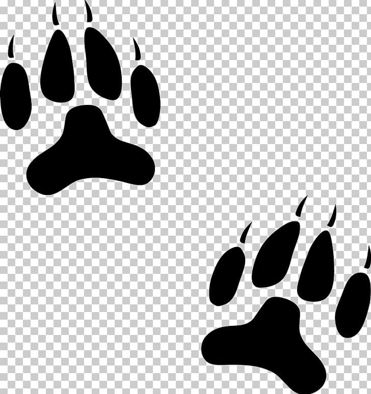 Paw cat animal track. Paws clipart dog tracks