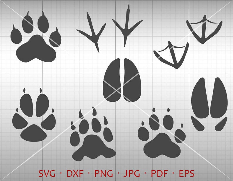 Animal tracks svg hunting. Paws clipart multiple
