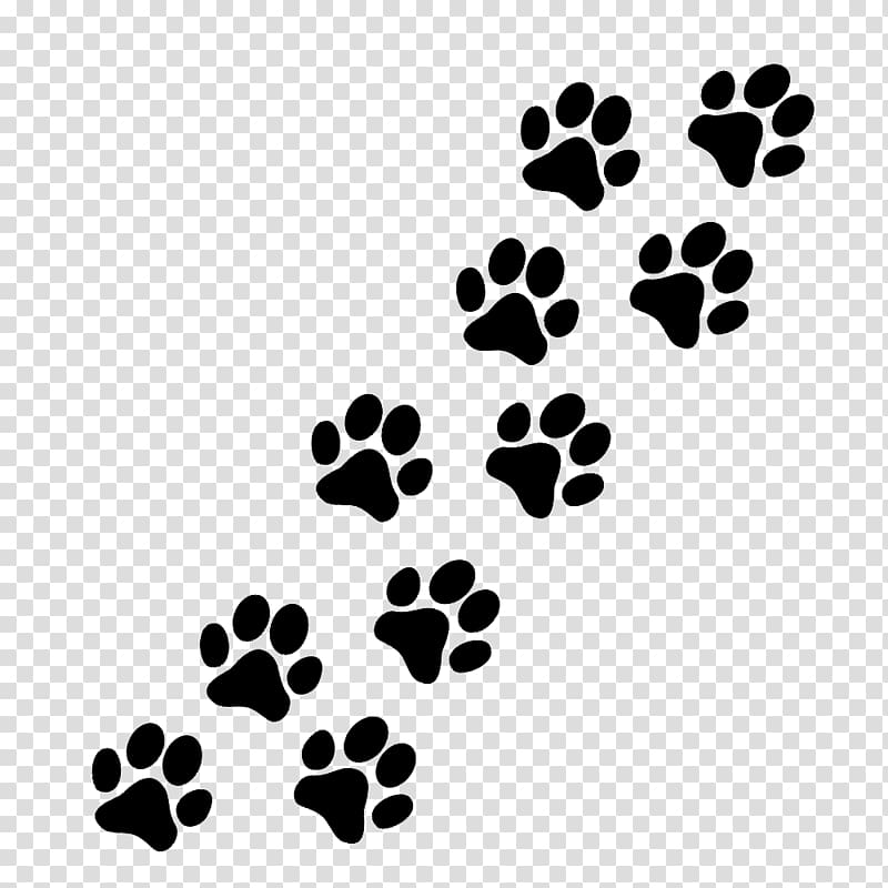 Paws clipart pug, Paws pug Transparent FREE for download on ...