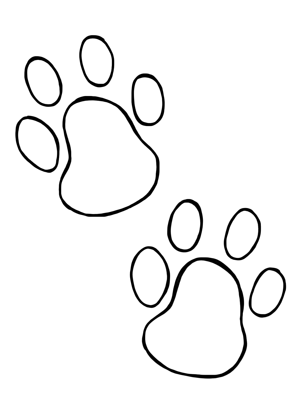 paws clipart vet