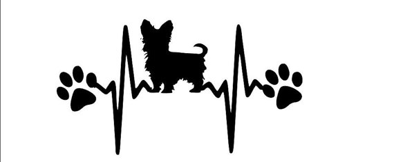 paws clipart yorkie