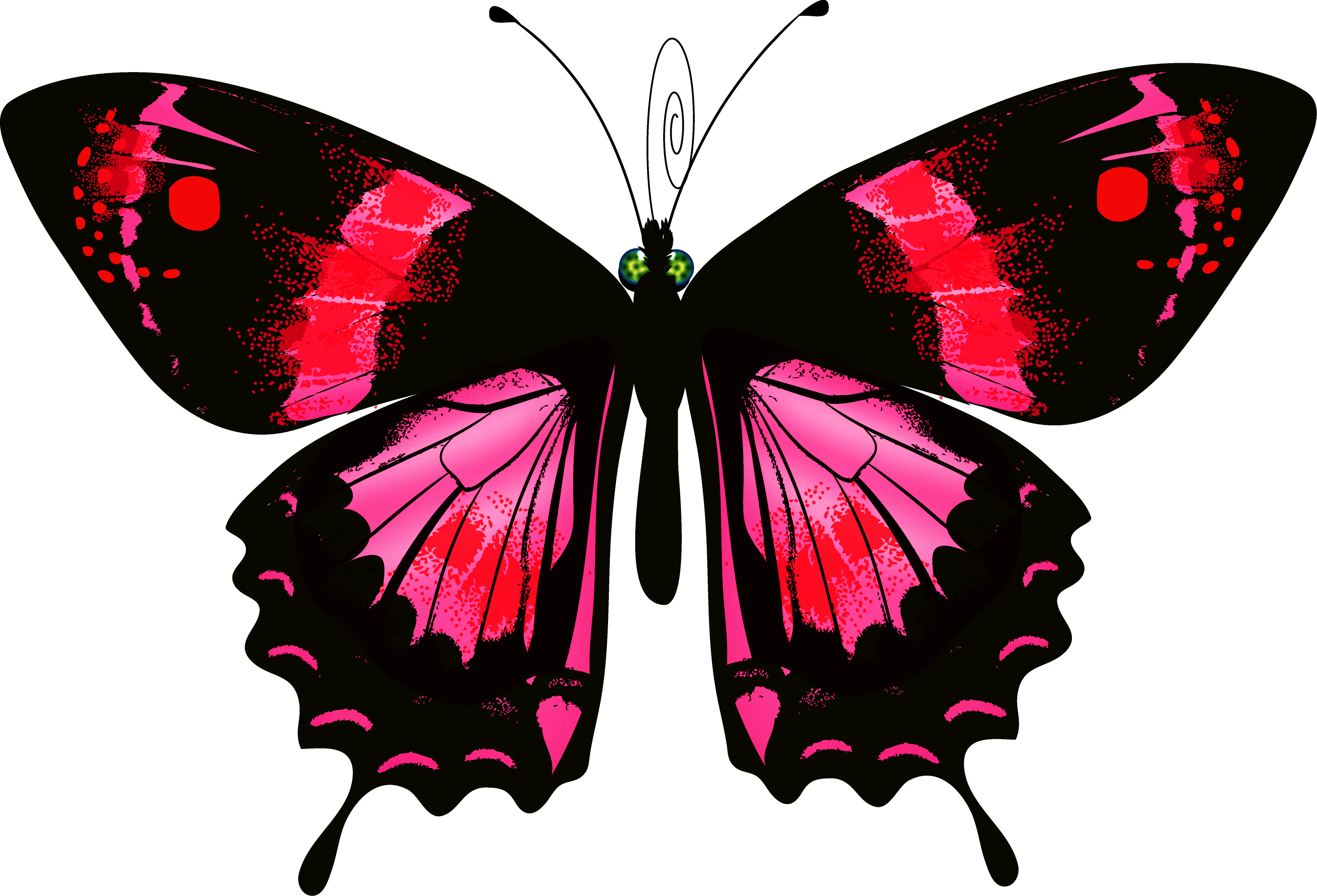pe clipart butterfly