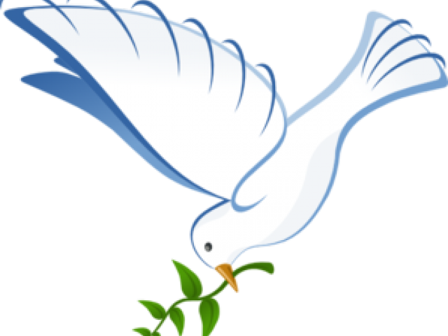 peace clipart mourning dove