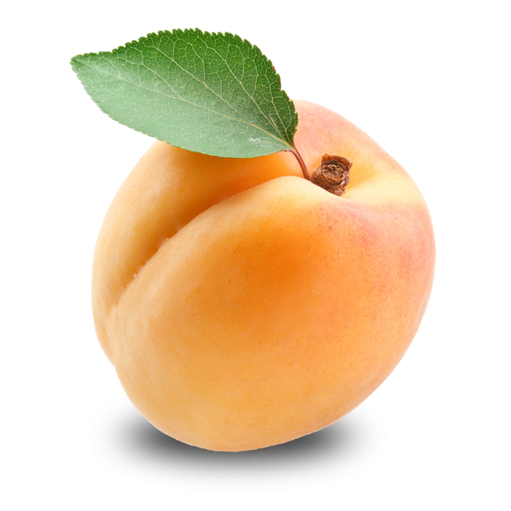 peach clipart apricot