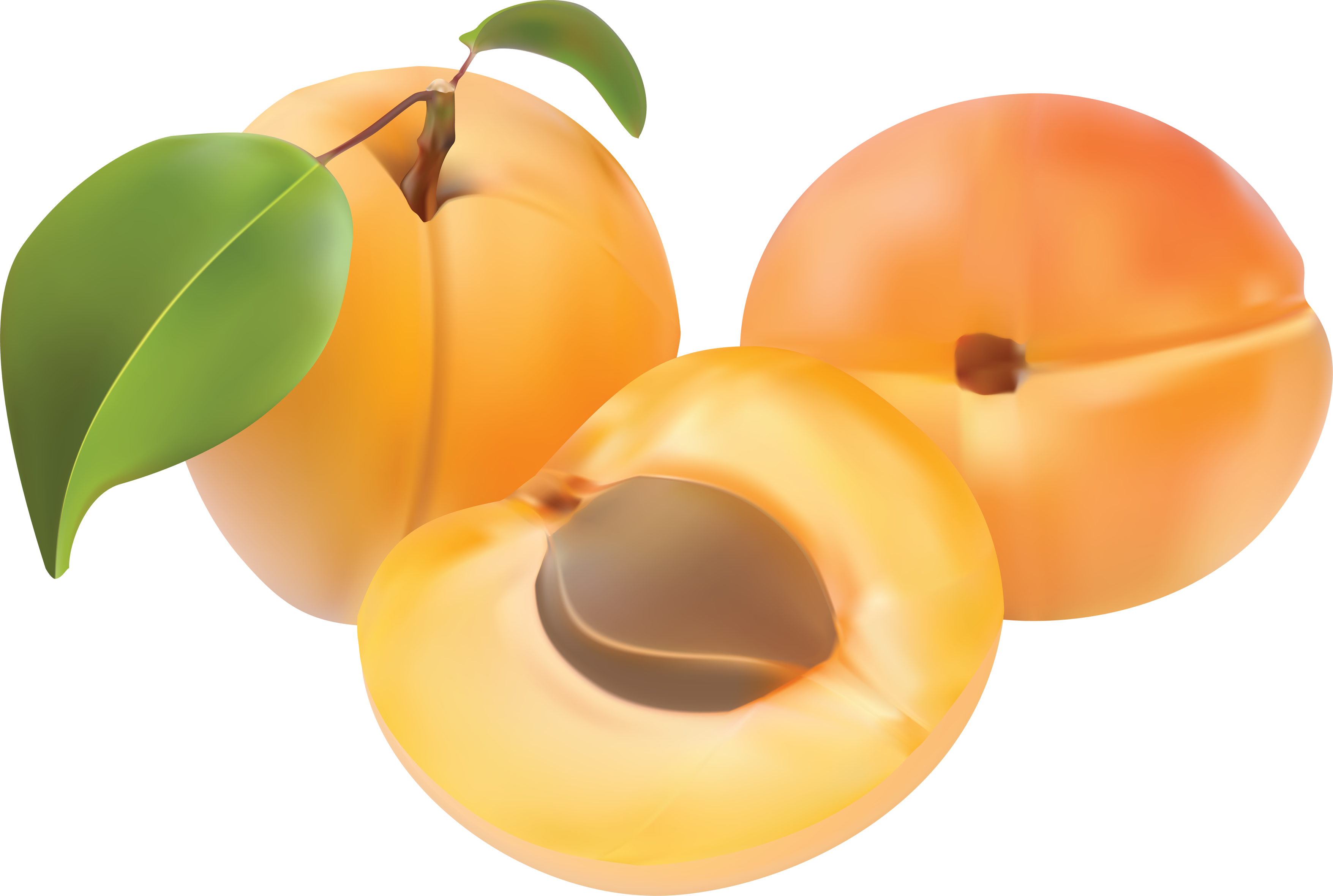 peaches clipart orange