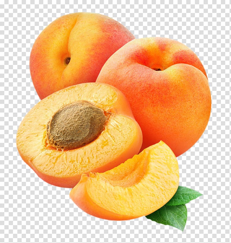 peaches clipart apricot