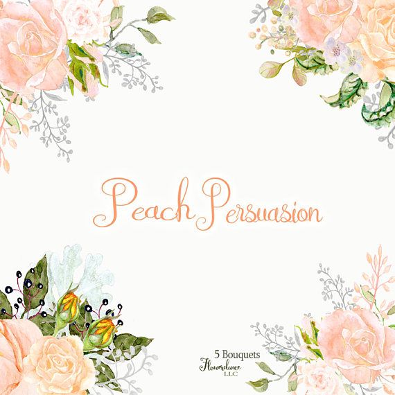 Roses peony bouquets peonies. Peach clipart flower