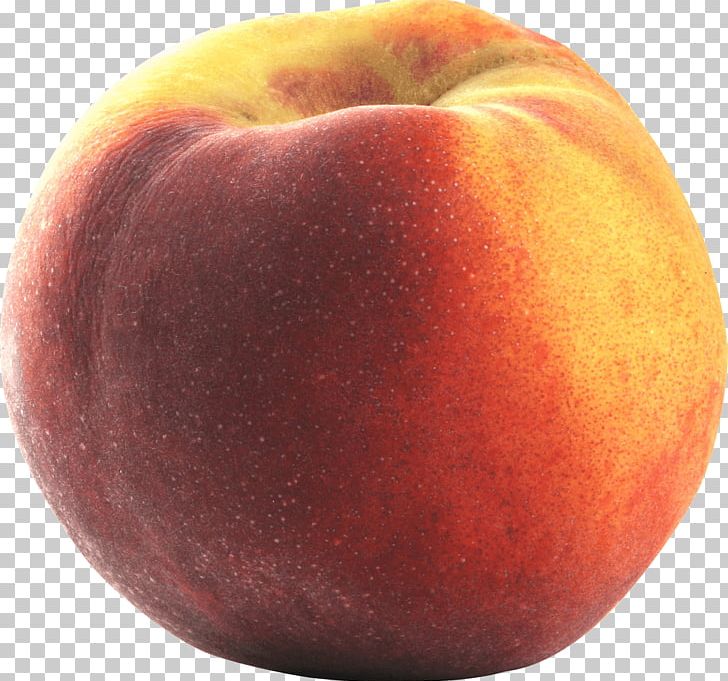 peach clipart large