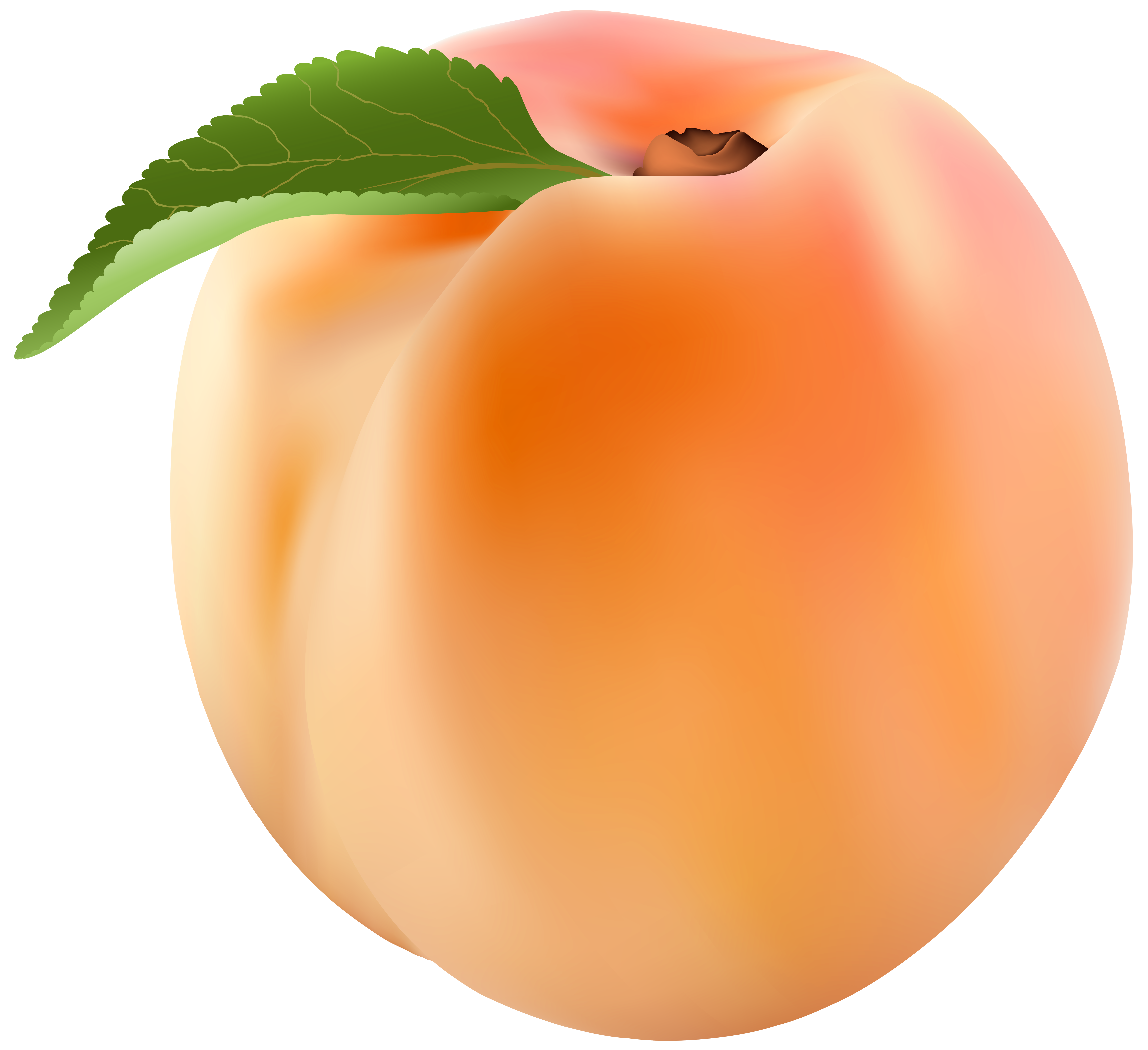 peaches clipart banner