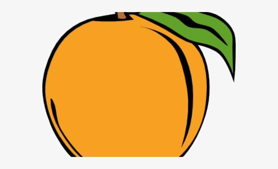 peach clipart orange