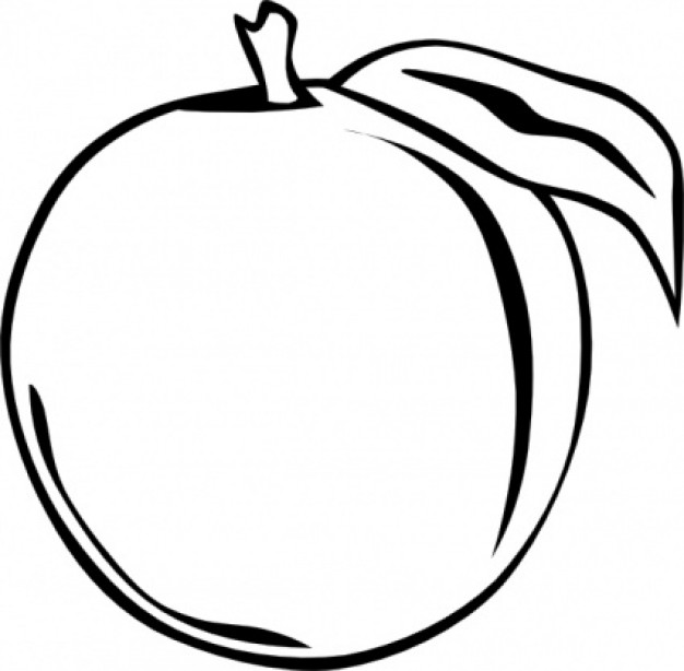 Free peach cliparts download. Peaches clipart black and white