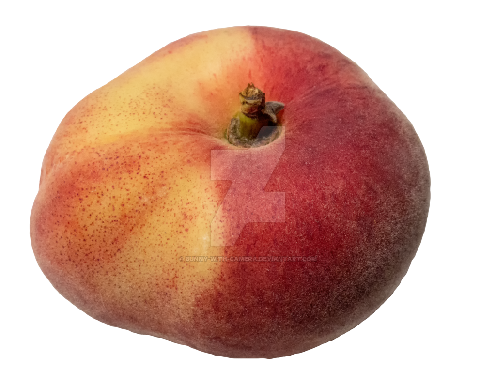 peach clipart peach slice