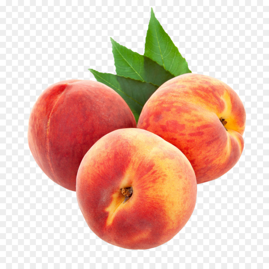 peach clipart peach slice