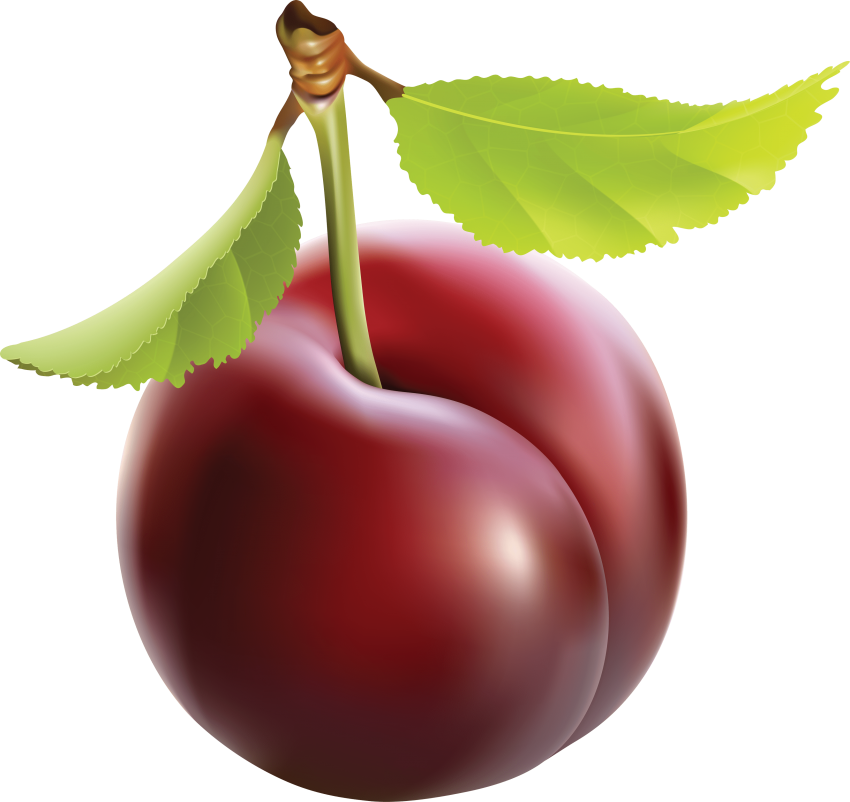 Png free images toppng. Plum clipart real