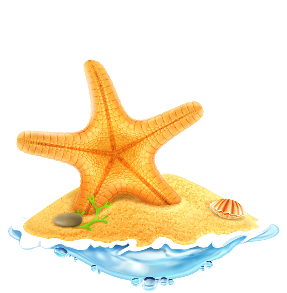 starfish clipart sandy
