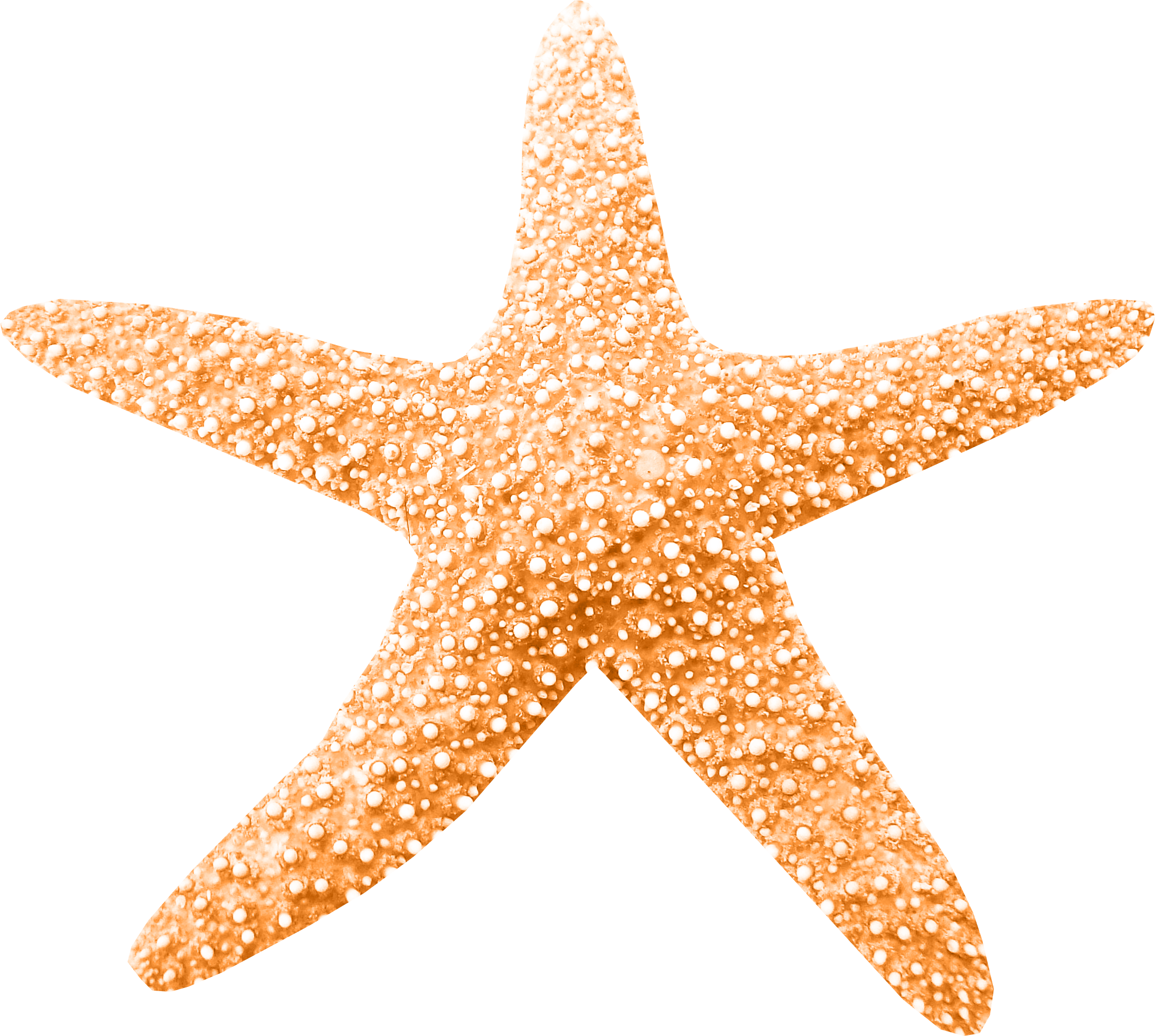 starfish clipart peach