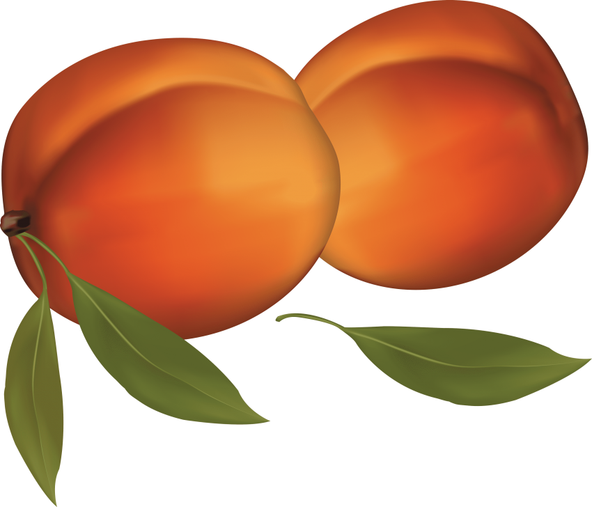peach clipart transparent background peach