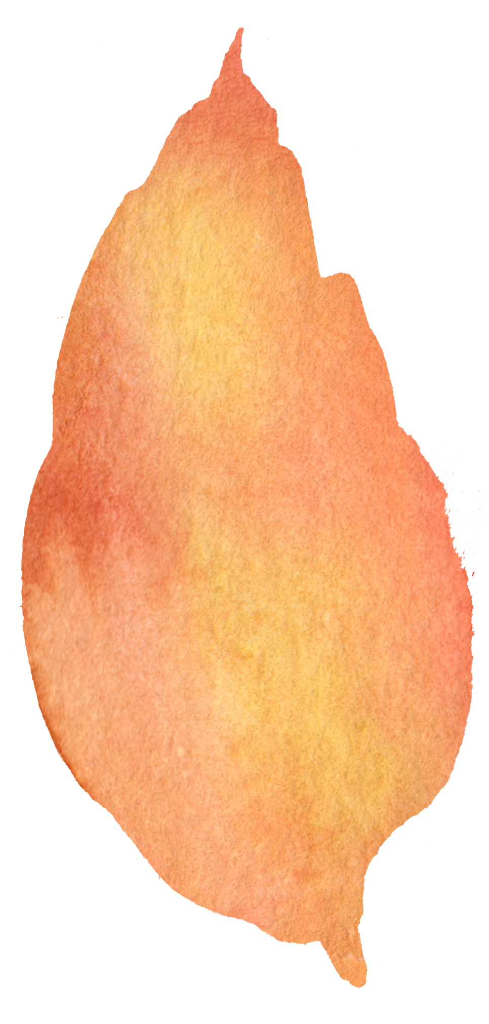 peach clipart watercolor