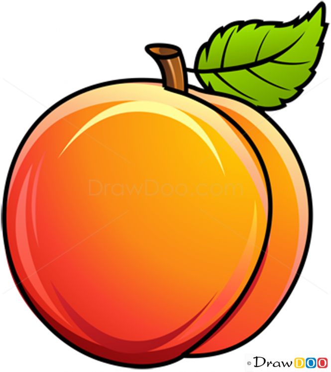 Peaches clipart draw, Peaches draw Transparent FREE for download on