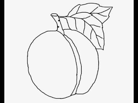 Peaches clipart draw. How to a peach