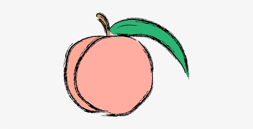 Peaches clipart fresh. Peach fruit food color