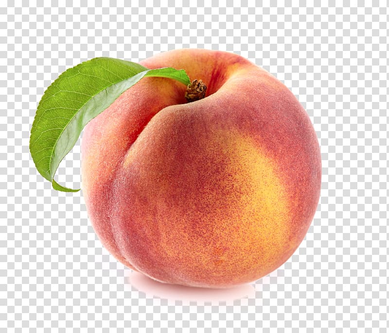 Nectarine peach transparent background. Peaches clipart fresh