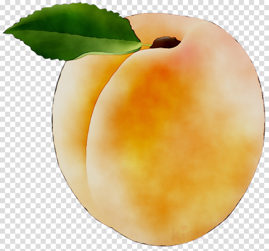 peaches clipart orange apple