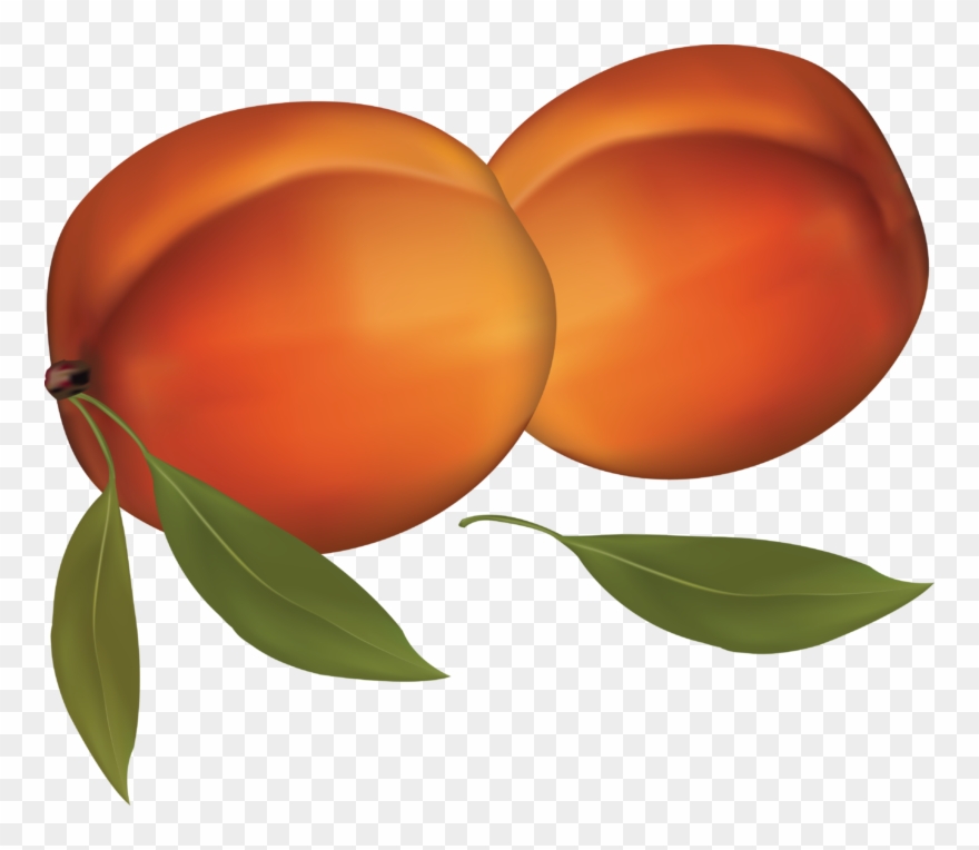 peaches clipart peach atlanta