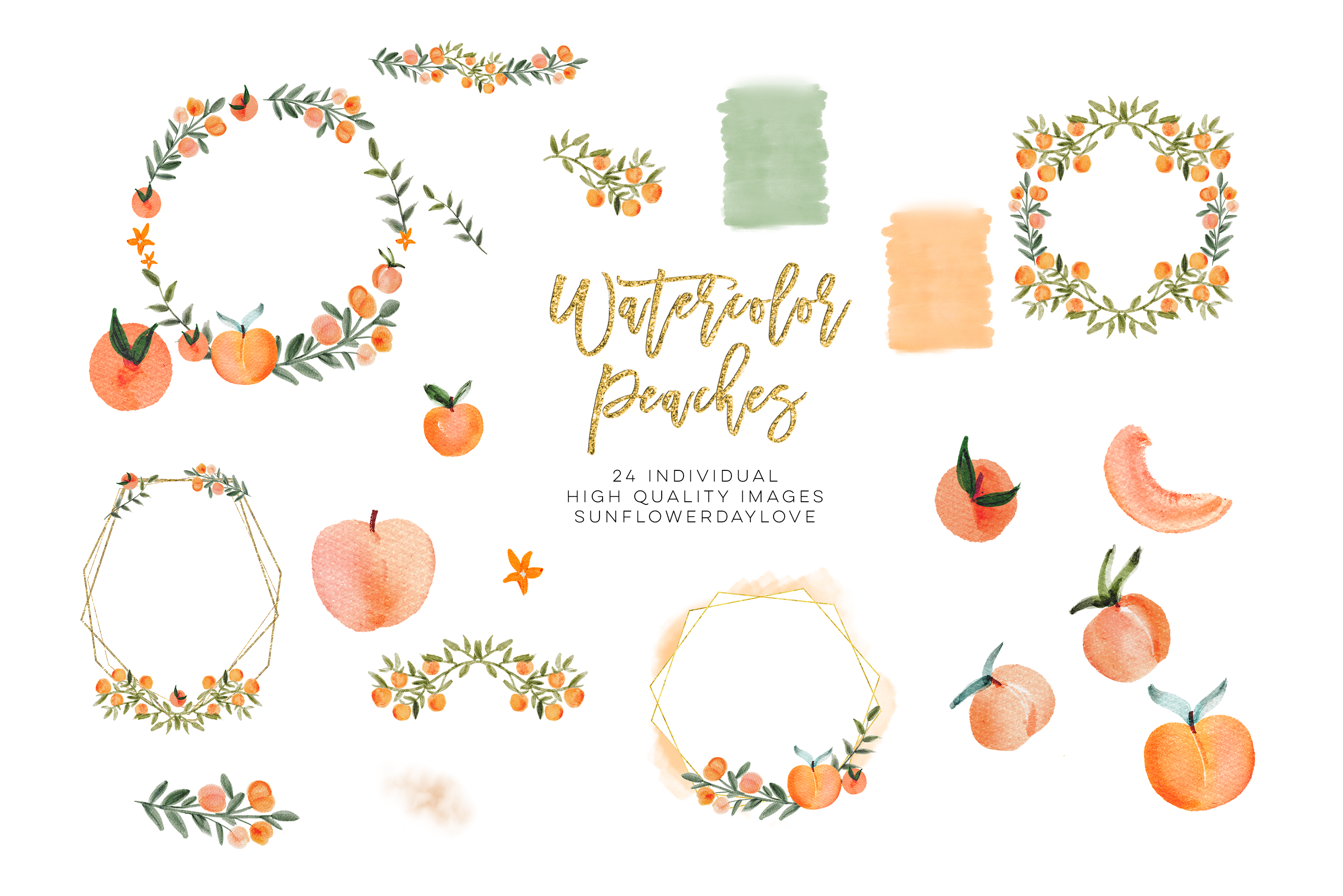 Watercolor clip art leaves. Peaches clipart peach leaf