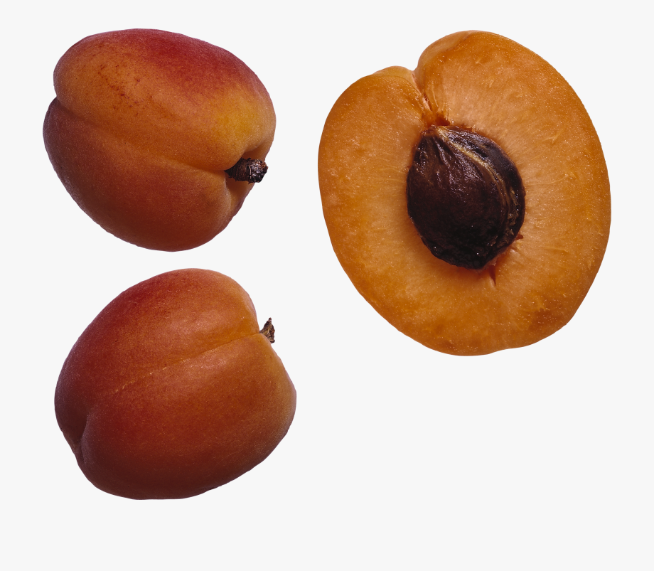 peaches clipart peach seed