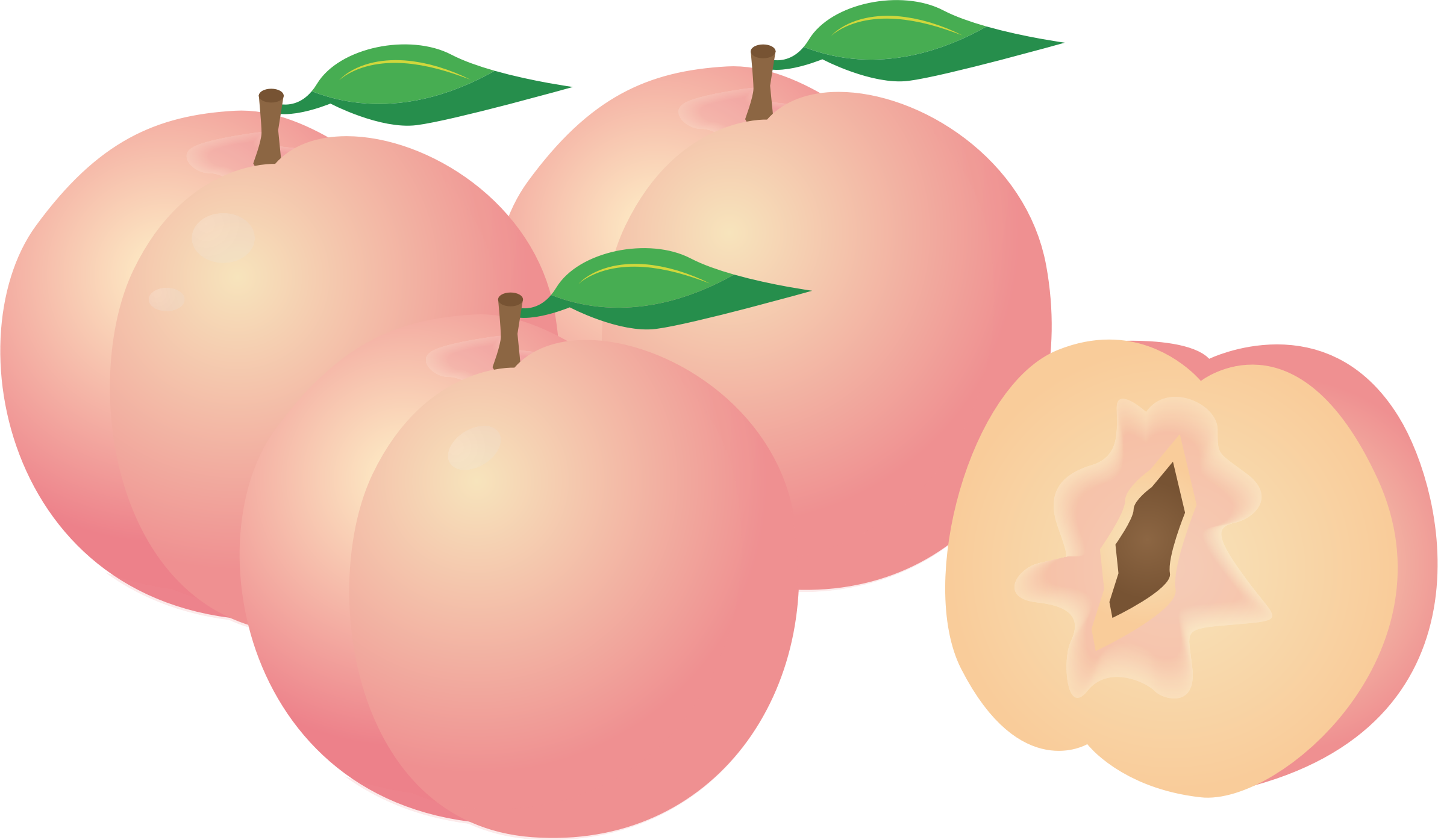 peaches clipart pink peach