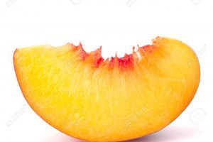 Peaches clipart sliced. Peach slice portal 