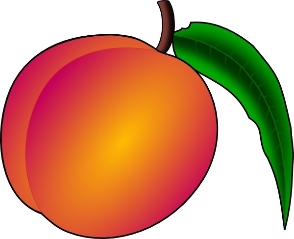 peaches clipart vector