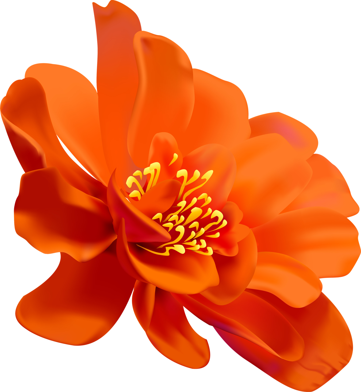 Flower painting clip art. Peaches clipart watercolor