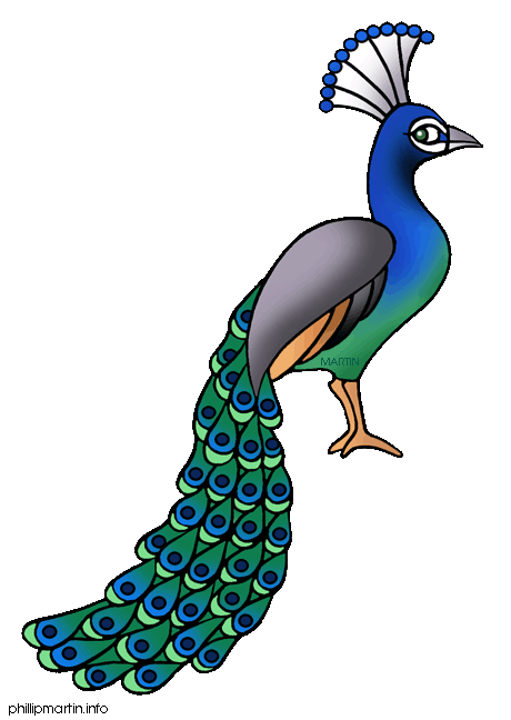 2 clipart peacock