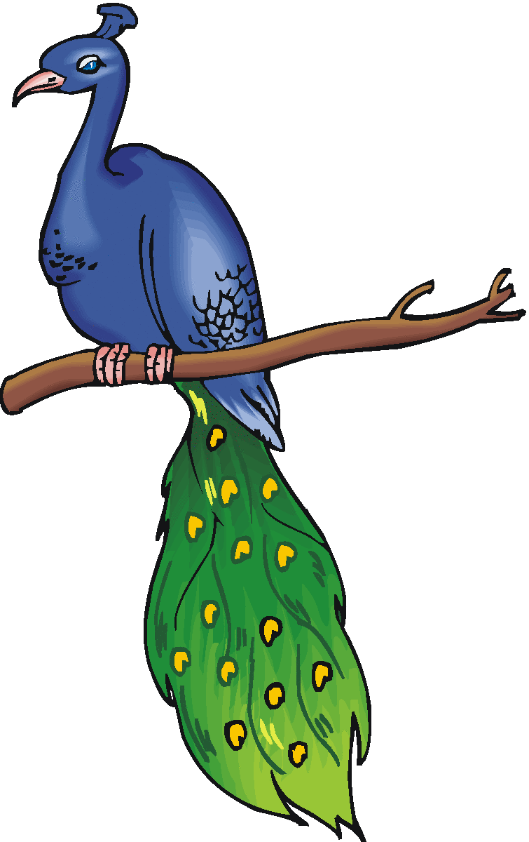 peacock clipart beak
