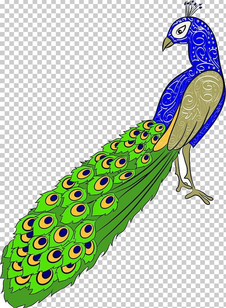 peacock clipart beak