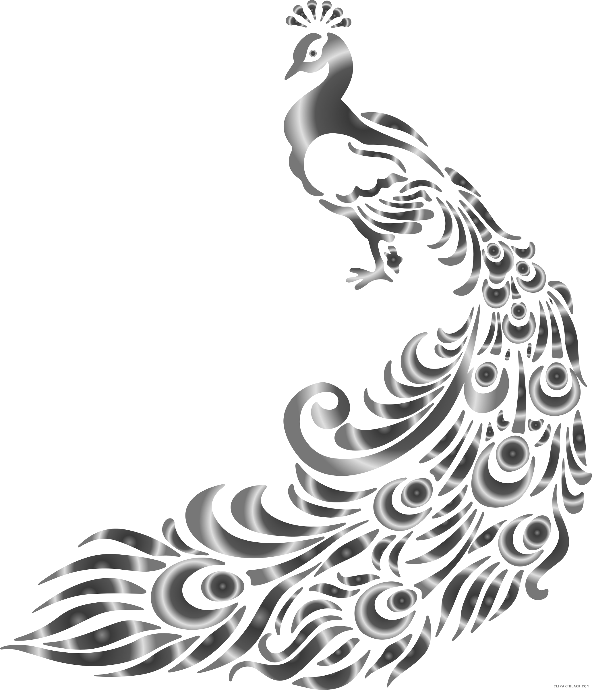 peacock clipart black and white