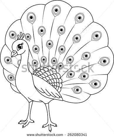 Peacock clipart black and white, Peacock black and white Transparent