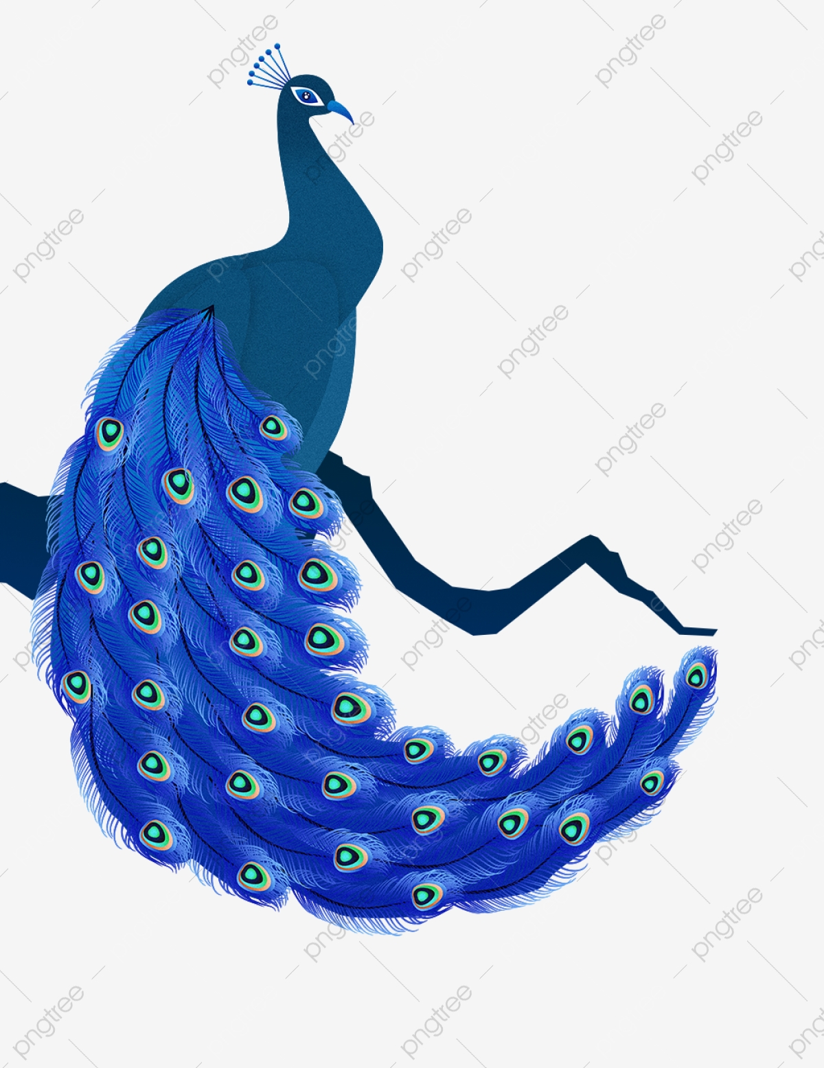 Pattern . Peacock clipart creative