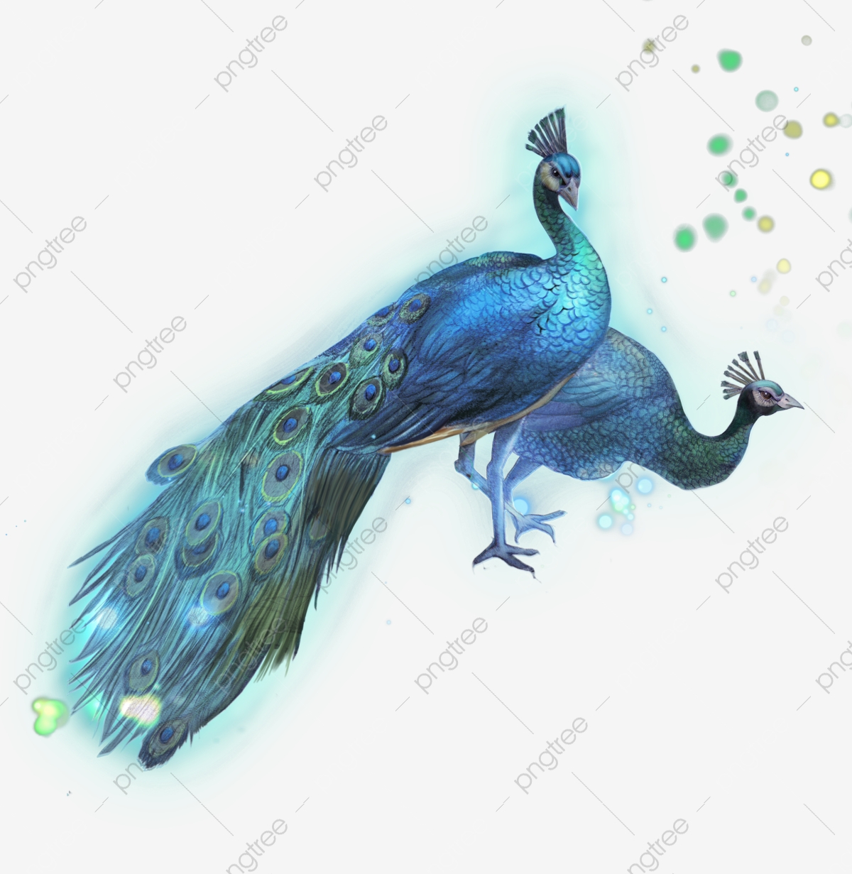 Peacock clipart creative. Hand painted 