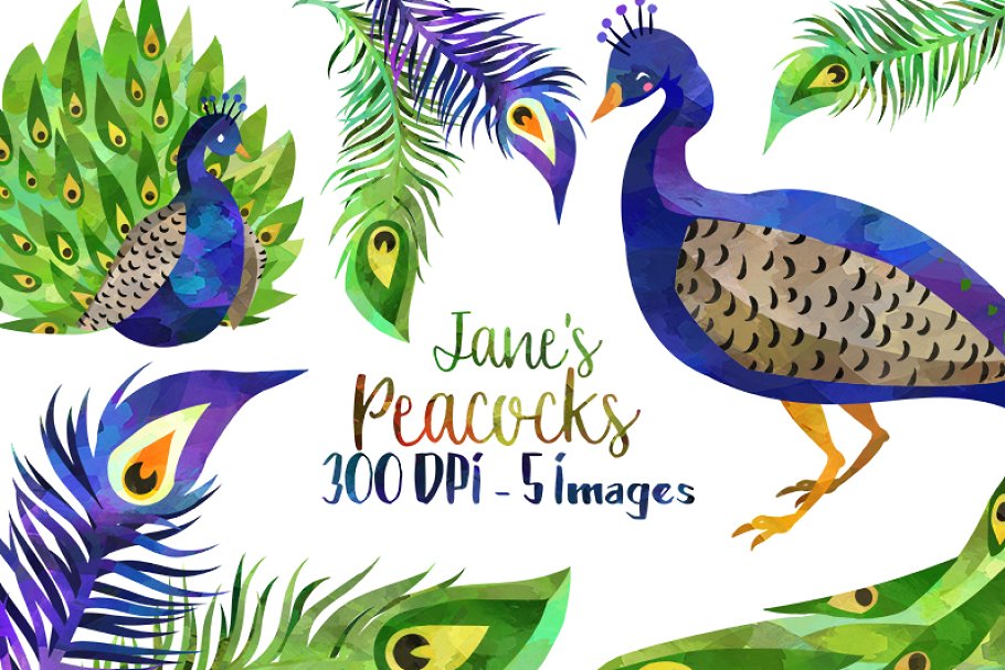 Peacock clipart creative. Watercolor 