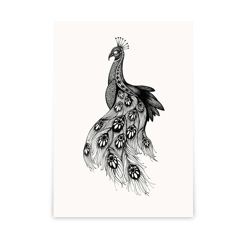 peacock clipart designer