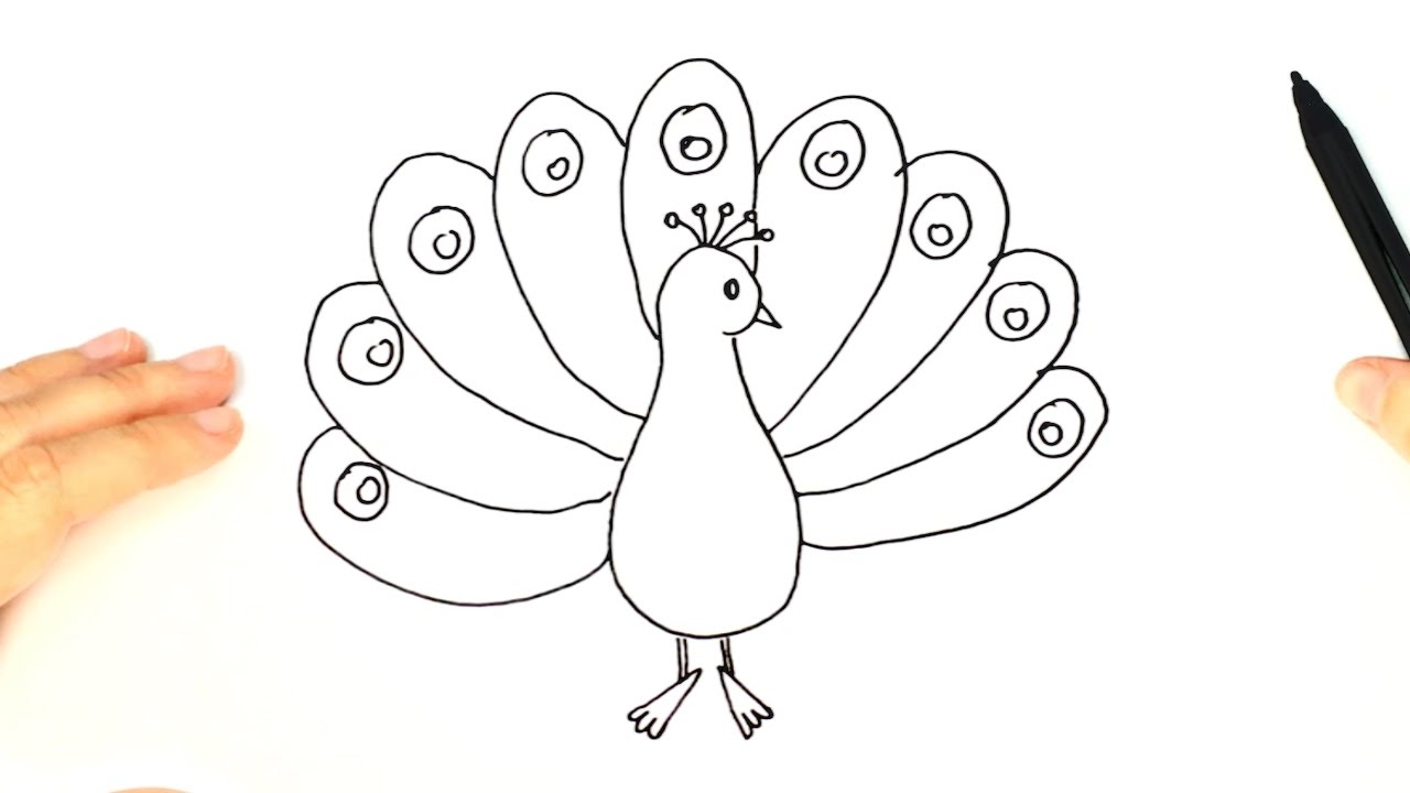 Peacock clipart draw. How to a easy