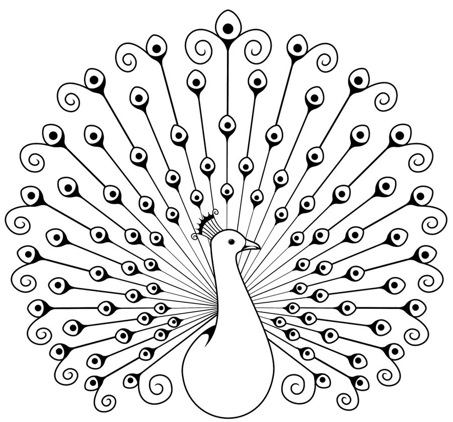 Drawing sketch at paintingvalley. Peacock clipart draw