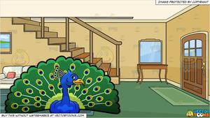 peacock clipart front